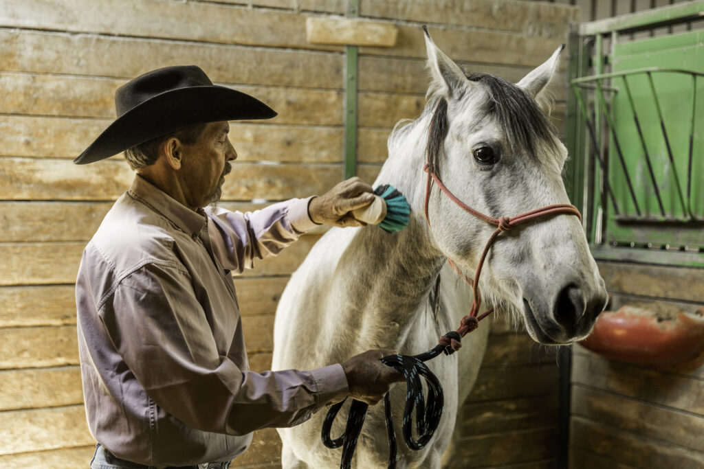 Horse Boarding
