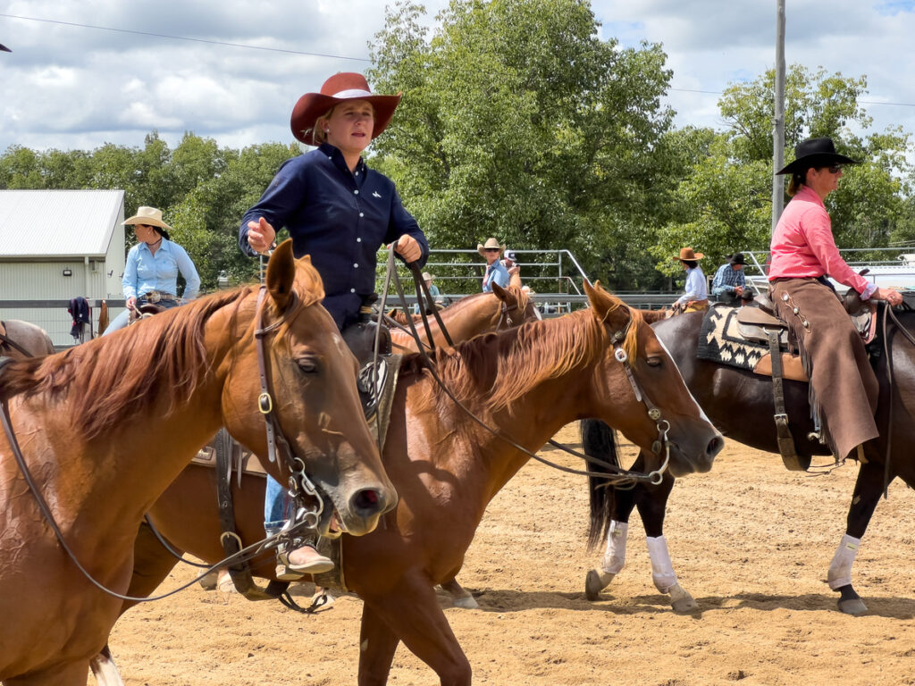 Group Horse Training