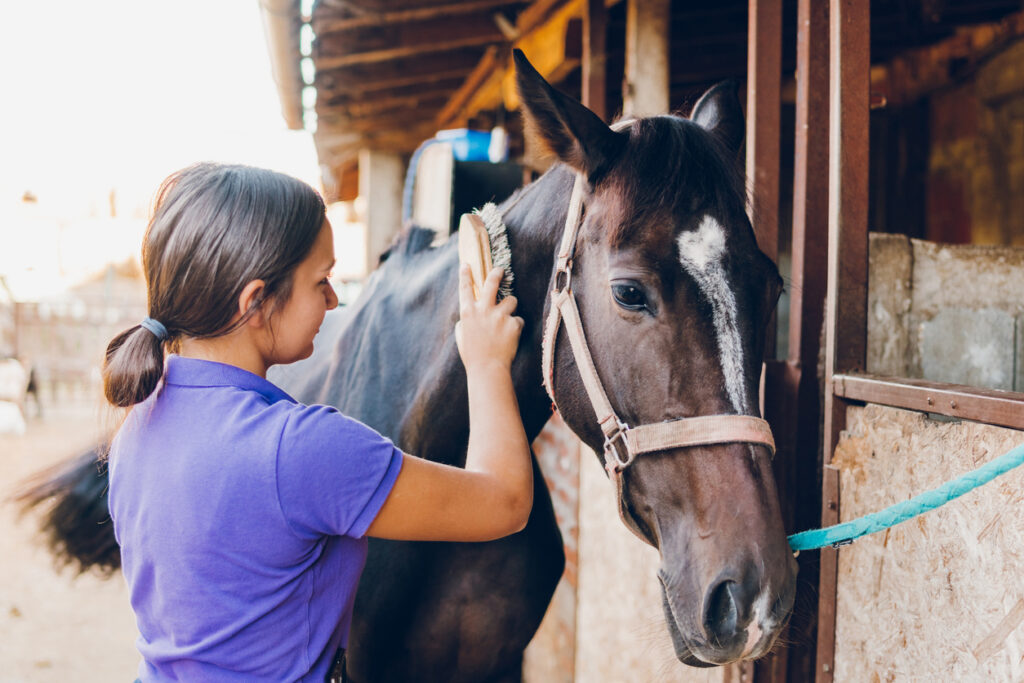Horse Leasing