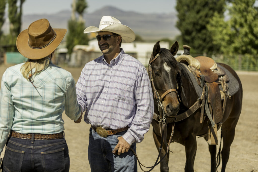 Horse Sales