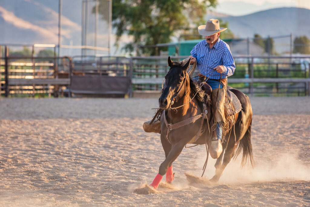 Horse Training