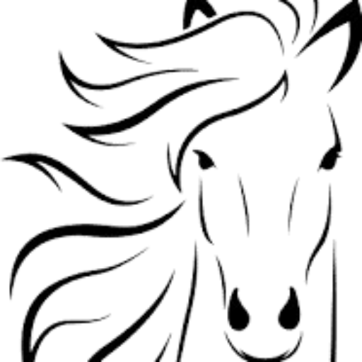 C&C Training Stables