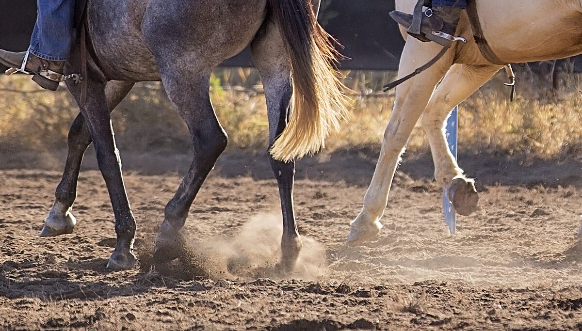 Riding Season in Ridgecrest