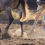 Riding Season in Ridgecrest