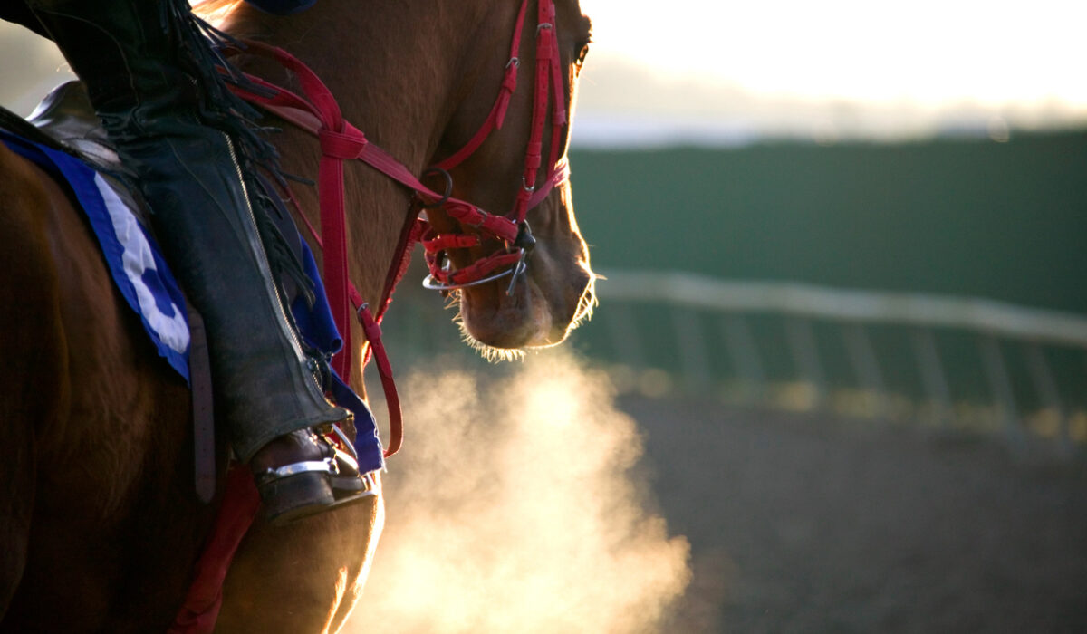 Spring Training Tips That Actually Work for New Riders - Featured Image