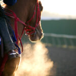 Spring Training Tips That Actually Work for New Riders - Featured Image
