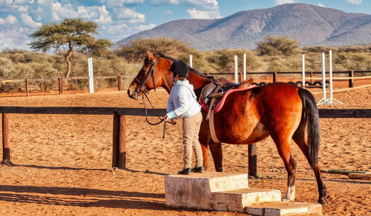 What to Expect in Your First Month of Horse Training - Featured Image