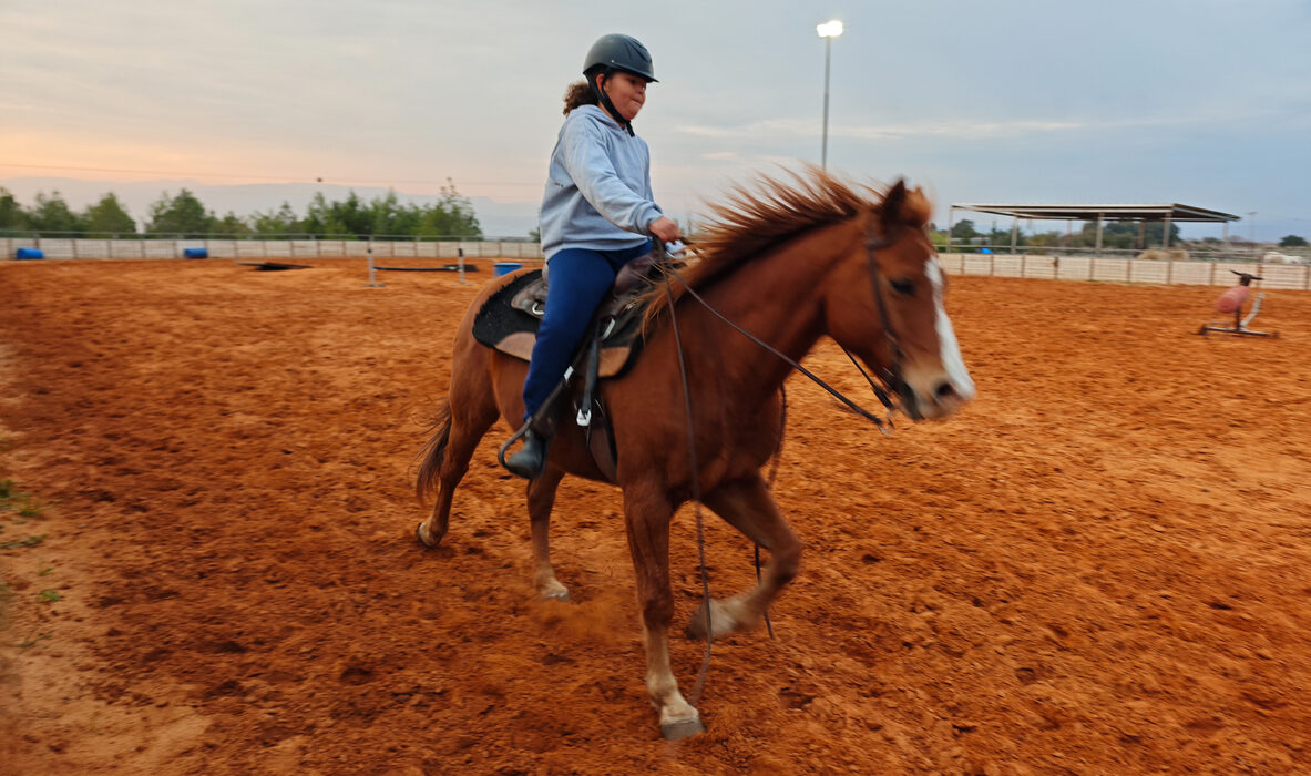 Horse Riding Lessons