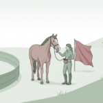 various horse training techniques depicted with handlers, poles, obstacle, treats, and a mounted rider.