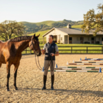 a rider and bay horse in an arena with ground poles for advanced horse training.