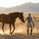 woman and brown horse performing horse ground work exercises in a dusty outdoor arena at sunset