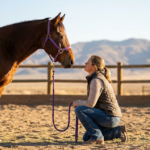 woman kneeling, looking at a brown horse with a purple halter, demonstrating horse training mental engagement and connection.