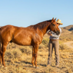 person comforting a horse in a arid landscape, showing their calm horse body language summer.